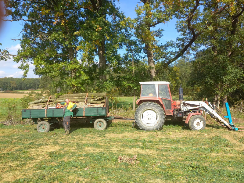 Anhänger voller Baumstämme wird mit dem Traktor transportiert