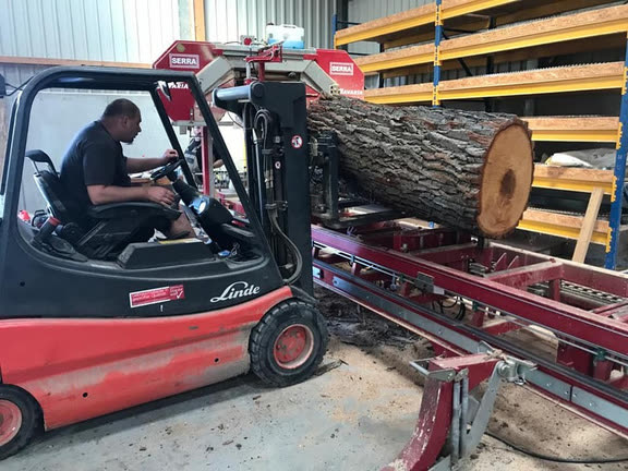 Baumstamm wird im Sägewerk zugeschnitten